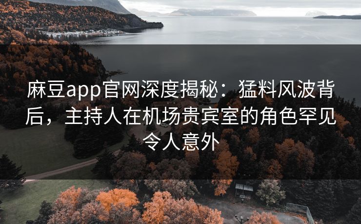 麻豆app官网深度揭秘：猛料风波背后，主持人在机场贵宾室的角色罕见令人意外