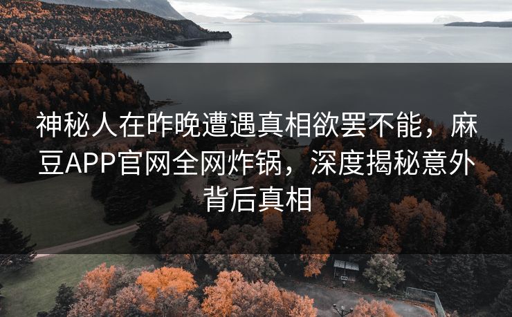 神秘人在昨晚遭遇真相欲罢不能，麻豆APP官网全网炸锅，深度揭秘意外背后真相