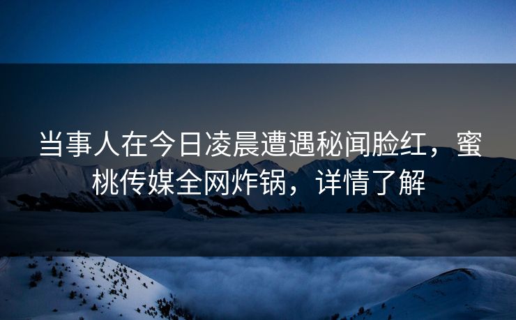 当事人在今日凌晨遭遇秘闻脸红，蜜桃传媒全网炸锅，详情了解