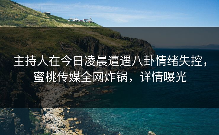 主持人在今日凌晨遭遇八卦情绪失控，蜜桃传媒全网炸锅，详情曝光