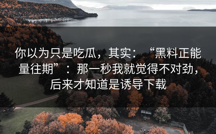 你以为只是吃瓜，其实：“黑料正能量往期”：那一秒我就觉得不对劲，后来才知道是诱导下载